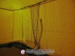 Overlapping netted entry inside the pitching dome