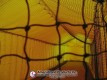View through a net opening down the pitching lane