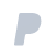 paypal small icon