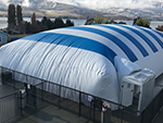 beautiful navy and white striped dome top view