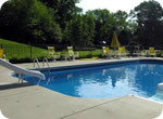 Inground pool liner pattern preview