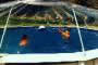 Kids playing inside a clear vinyl above ground pool dome