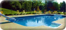 Inground Pool Liners, Domes, and Chemicals
