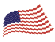 United States Flag